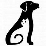 Dogs and cats supplies, toys and foods