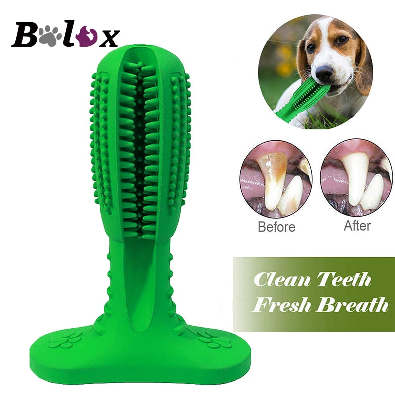 Dog toothbrush Pet dog Chew Toys Brushing Puppy Teething Brush for Doggy Pets Oral Care Stick Bite Toy for Dog Supplies