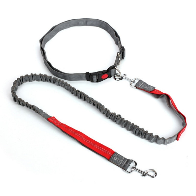 Night Reflective Elastic Nylon Breakaway Leashes Running Hand Free Leads Retractable Small Pet Dogs