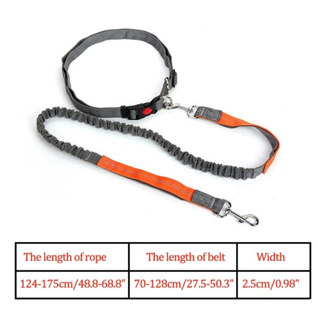 Night Reflective Elastic Nylon Breakaway Leashes Running Hand Free Leads Retractable Small Pet Dogs