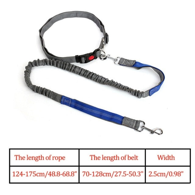 Night Reflective Elastic Nylon Breakaway Leashes Running Hand Free Leads Retractable Small Pet Dogs