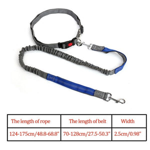 Night Reflective Elastic Nylon Breakaway Leashes Running Hand Free Leads Retractable Small Pet Dogs