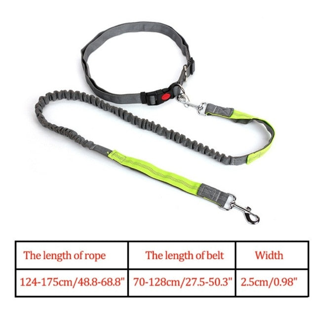 Night Reflective Elastic Nylon Breakaway Leashes Running Hand Free Leads Retractable Small Pet Dogs