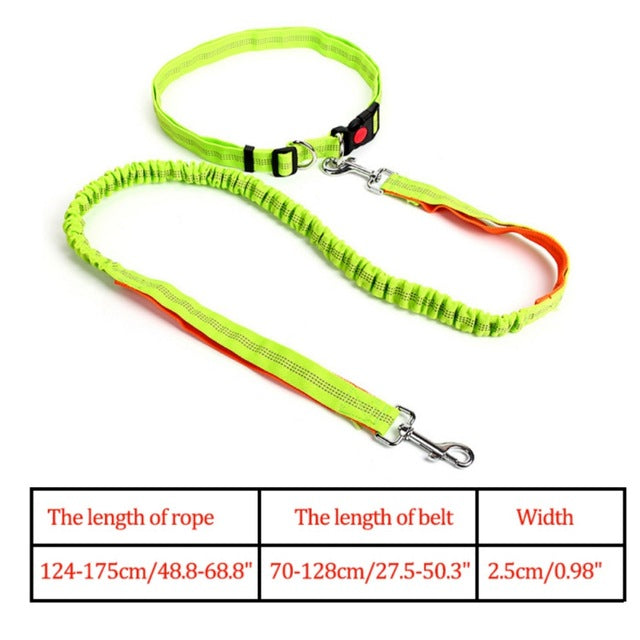 Night Reflective Elastic Nylon Breakaway Leashes Running Hand Free Leads Retractable Small Pet Dogs