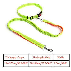 Night Reflective Elastic Nylon Breakaway Leashes Running Hand Free Leads Retractable Small Pet Dogs