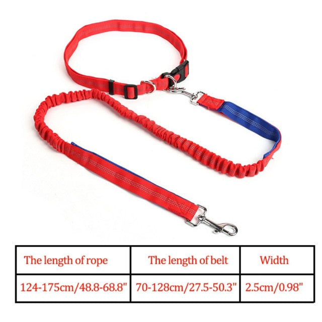 Night Reflective Elastic Nylon Breakaway Leashes Running Hand Free Leads Retractable Small Pet Dogs