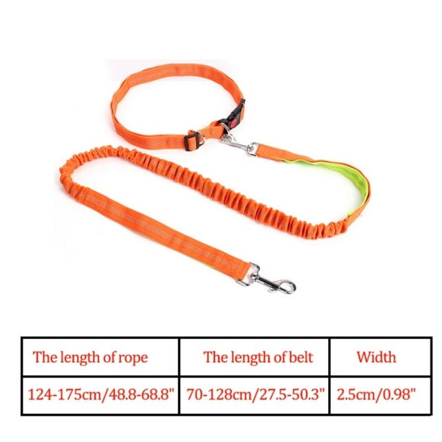 Night Reflective Elastic Nylon Breakaway Leashes Running Hand Free Leads Retractable Small Pet Dogs