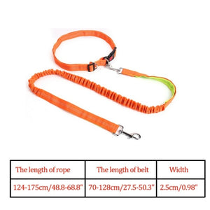 Night Reflective Elastic Nylon Breakaway Leashes Running Hand Free Leads Retractable Small Pet Dogs