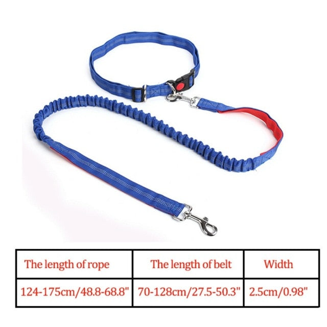 Night Reflective Elastic Nylon Breakaway Leashes Running Hand Free Leads Retractable Small Pet Dogs