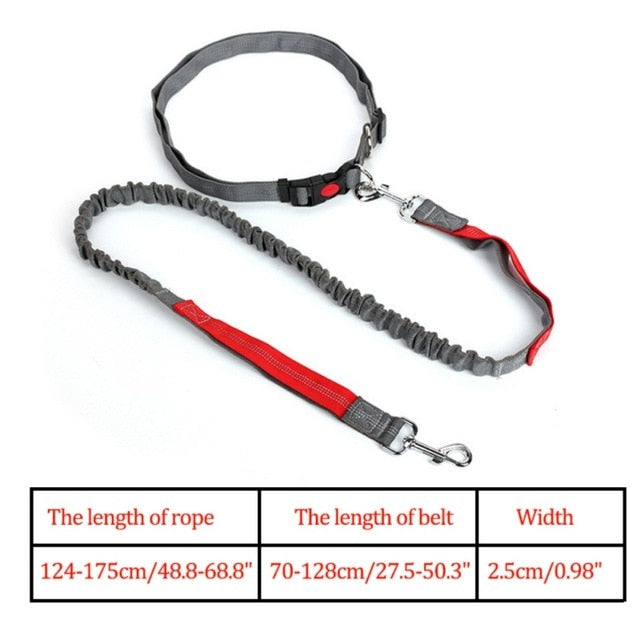 Night Reflective Elastic Nylon Breakaway Leashes Running Hand Free Leads Retractable Small Pet Dogs