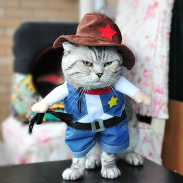 Funny Cat Clothes Pirate Suit Clothes For Cat Costume Clothing Corsair Halloween Clothes Dressing Up Cat Party Costume Suit 31A1